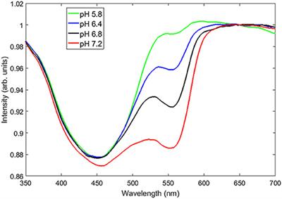 Measuring Tumor Microenvironment pH During Radiotherapy Using a Novel Cerenkov Emission Multispectral Optical Probe Based on Silicon Photomultipliers